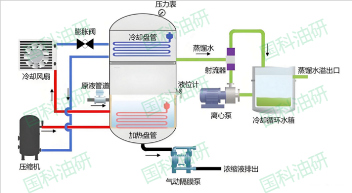 1741070103330725.png 4.png